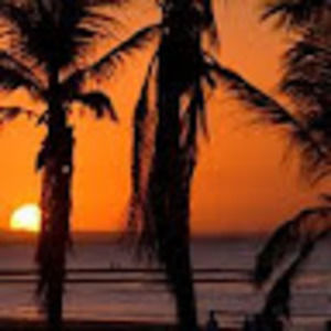 Meet your Posher, Suzanne